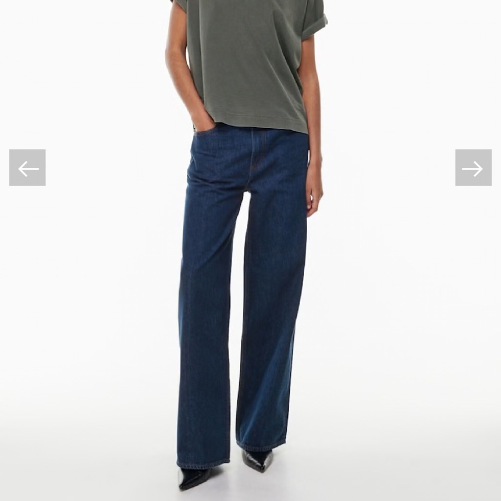 Aritzia Denim Forum The '90s Lo-Rise Baggy Wide Jean in Under Pressure 29W NWT